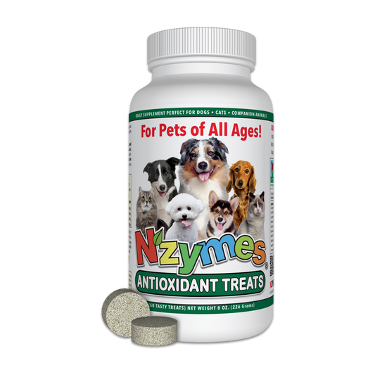 Antioxidant Treats